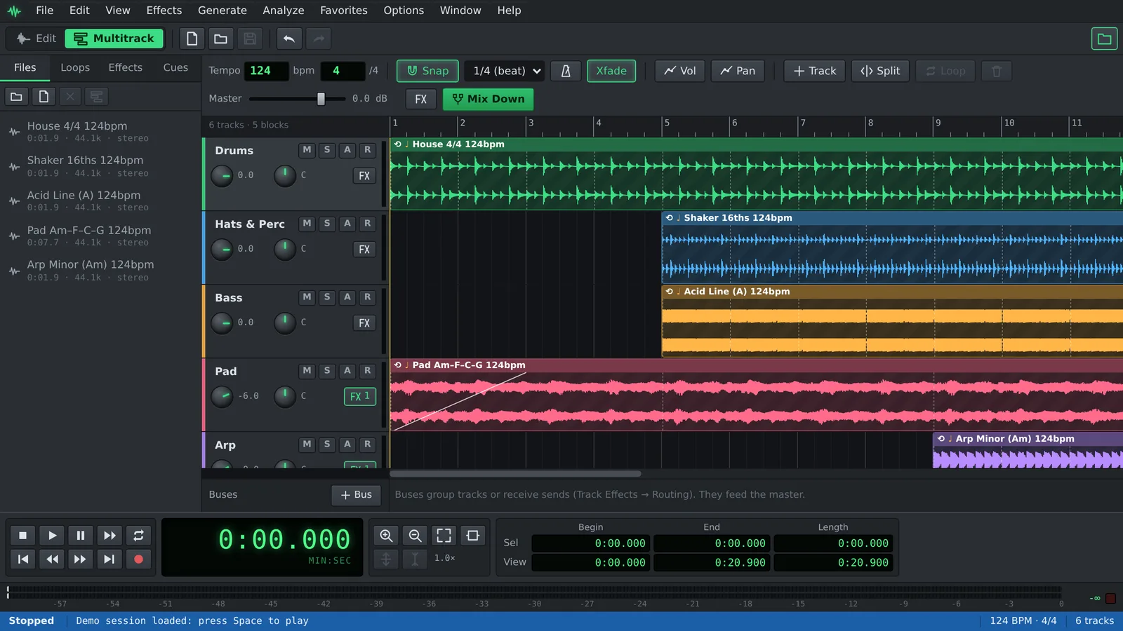 Auditius multitrack view